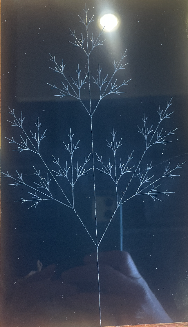 Etch of a dill-like plant on black acrylic